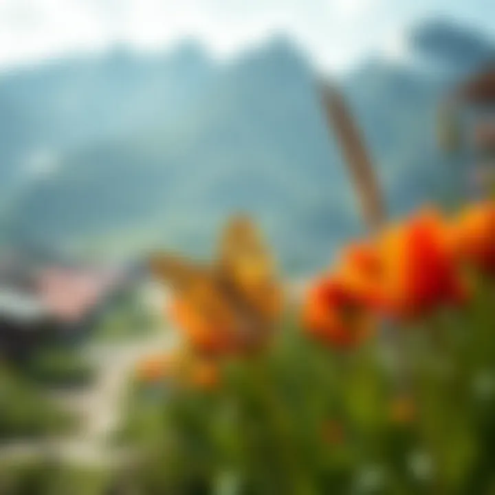 System Requirements for AOH 3 System requirements for AOH 3