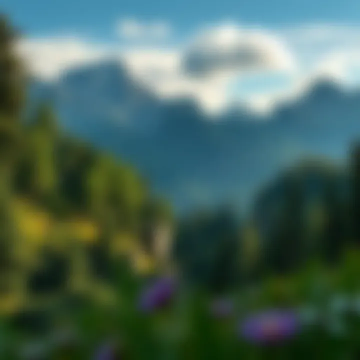 Enchanted Landscape of Middle-earth A stunning landscape from the Lord of the Rings game mod, featuring lush forests and mountains