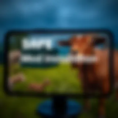 Safe Mod Installation Tips Tips for safe mod installation on a screen