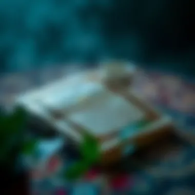 Highlight of unique features in the modified Al Quran APK