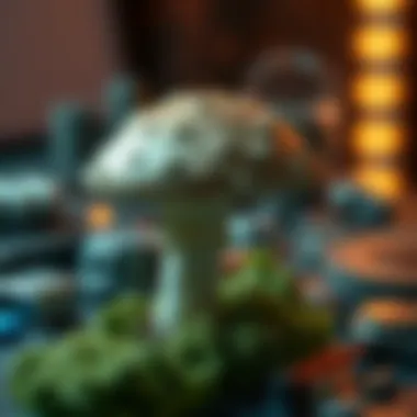 Technical Aspects of the Mushroom Hack