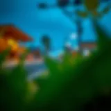 Exploring Video Editor Mod APK: A Comprehensive Guide Introduction