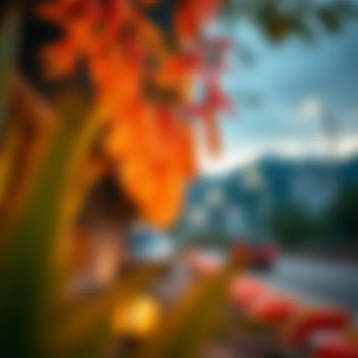 Comparison chart of video editing applications