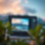 Demonstration of Snapedit's object removal interface