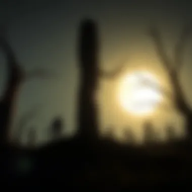 Installation Guide for Limbo APK