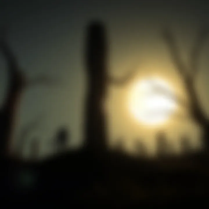 Installation Guide for Limbo APK