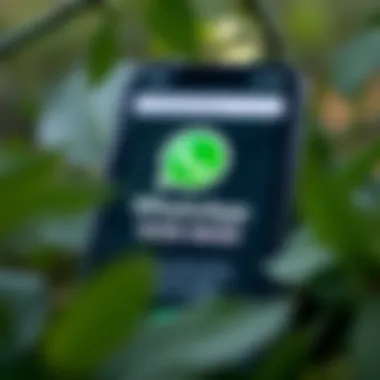 Notable Understanding WhatsApp Web Mods Notable Understanding WhatsApp Web Mods